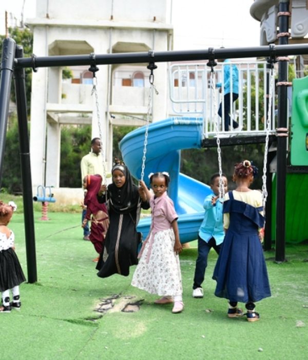 Peduase International School